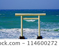 Torii漂浮在海中 114600272