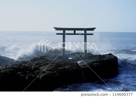 神秘的鳥居門 114600377