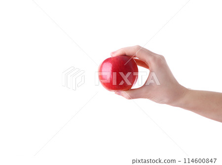 Female hand holding red apple isolated on white background Female hand holding red apple isolated on white background 114600847