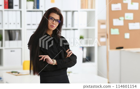 Beautiful smiling brunette woman in office Beautiful smiling brunette woman in office 114601154