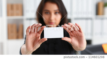 portrait of businesswoman work in office show cutaway portrait of businesswoman work in office show cutaway 114601208