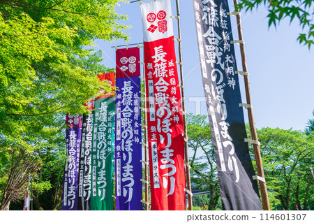 Colorful flags at the Nagashino Battle Flag Festival (Shinshiro City, Aichi Prefecture) 114601307