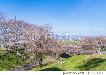 Spring in Kasumigaseki, cherry blossoms in full bloom (Ibi District, Gifu Prefecture) 114601441