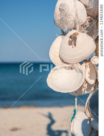 Seashell decoration hanging on beach with clear blue ocean in background during sunny day 114601686