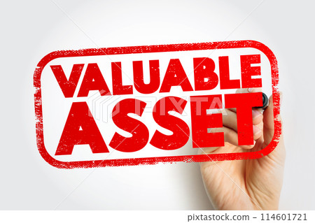 Valuable Asset text stamp, concept background 114601721