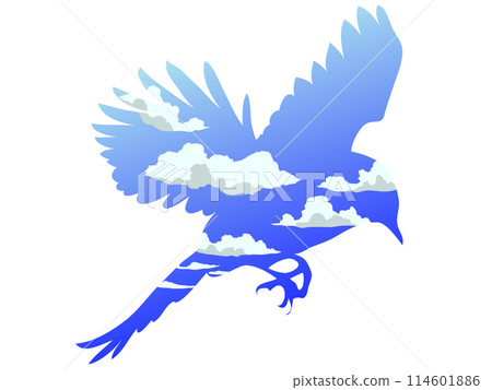 Blue bird and blue sky Blue bird and blue sky 114601886