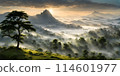 Fog obscuring the peaks of majestic mountains, landscape engulfed in a soft grey mist 114601977