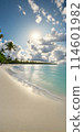 Clear blue sky brushes against the midday sun as it dances on the frothy crest of the sea's endless waves 114601982