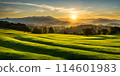 Landscape embracing sunny minimalism 114601983