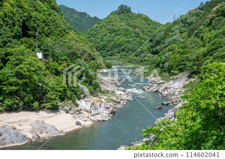 Fresh greenery on the Kizugawa River in Kasagi Town, Kyoto Prefecture 114602041