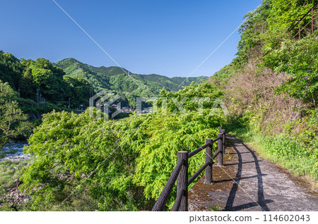 京都府笠置町銀帶健行路線 木津川沿岸散步道 京都府笠置町銀帶健行路線 木津川沿岸散步道 114602043