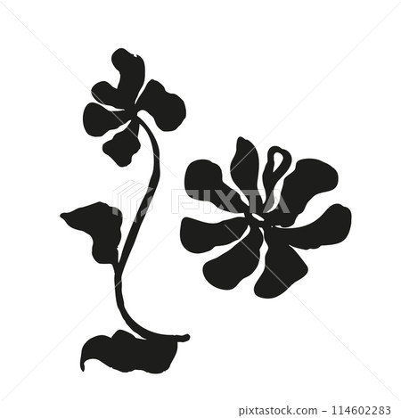 Ink brush abstract flower sketch isolated on white 114602283