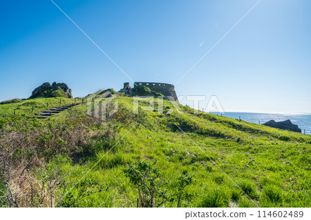 蘆毛崎展望台種差海岸的「青森縣」風景 114602489