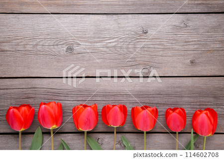 Red tulips on a grey wooden background. 114602708