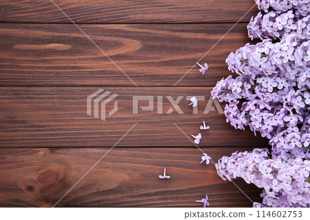 Lilac flowers branch on brown background with sample text 114602753