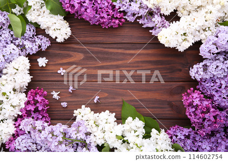 Lilac flowers branch on brown background with sample text, frame Lilac flowers branch on brown background with sample text, frame 114602754