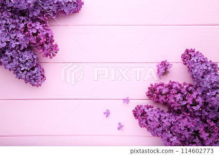 Lilac flowers branch on pink background with sample text 114602773