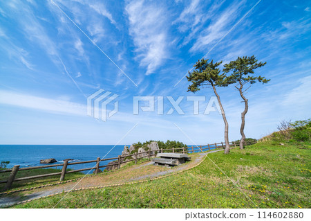 "Aomori Prefecture" Spring scenery of Tanesashi Coast, Michinoku Sea Breeze Trail 114602880