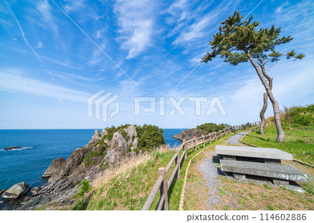 "Aomori Prefecture" Spring scenery of Tanesashi Coast, Michinoku Sea Breeze Trail 114602886