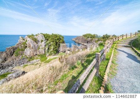 「青森縣」春天種差海岸風景 陸奧海風小徑 114602887