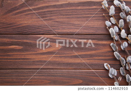 Willow catkins on a brown wooden background with copy space, easter 114602910