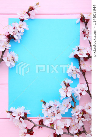 Spring blooming branches on pink wooden background with copyspace. 114602944