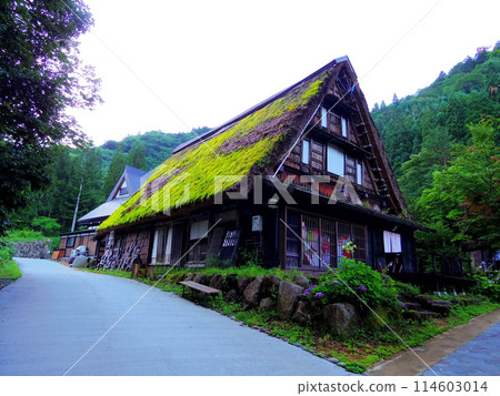 Gifu Prefecture: Hirayu Folk Museum with Gassho-style Houses Gifu Prefecture: Hirayu Folk Museum with Gassho-style Houses 114603014