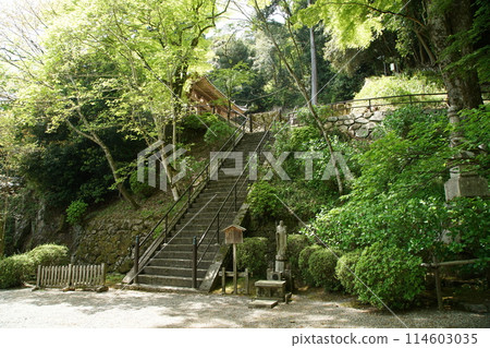 Haseji Temple Botan 114603035