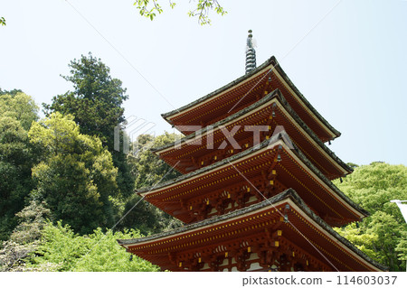 Haseji Temple Botan 114603037