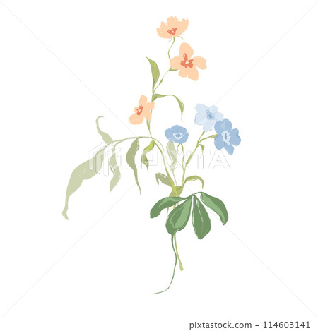 Watercolor abstract flower bouquet of forget-me-not. Hand painted floral card of wildflowers isolated on white background. Holiday Illustration for design, print, fabric or background. 114603141
