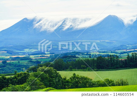 Biei no Oka 114603554