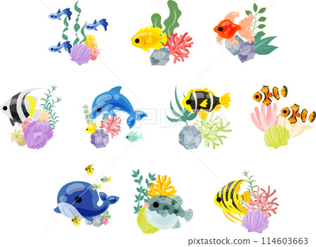 一組美麗的魚圖示讓人想起水族館。 一組美麗的魚圖示讓人想起水族館。 114603663