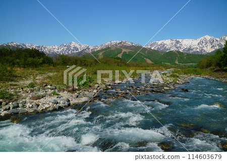 春天的河邊俯瞰北阿爾卑斯山 114603679