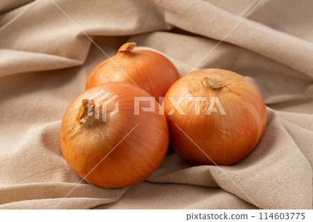 onion onion 114603775