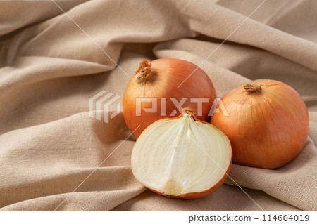 onion onion 114604019