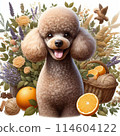 Spoofing toy poodle 114604122