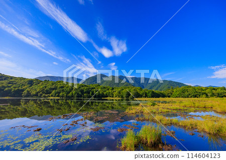 Kannon-numa in late summer Kannon-numa in late summer 114604123