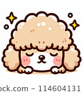 Sparkling Toy Poodle 114604131