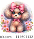 Toy poodle with ribbon 114604132