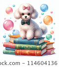 Toy poodle in a dream world 114604136