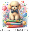 Toy Poodle in the Dream World 2 114604137