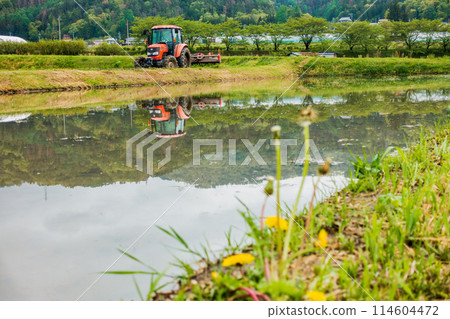 水稻種植的開始[北安地區池田町] 114604472