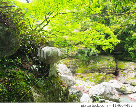 The beautiful greenery of Nakatsu Valley (Daikokuten's mallet, one of the Seven Lucky Gods) The beautiful greenery of Nakatsu Valley (Daikokuten's mallet, one of the Seven Lucky Gods) 114604492