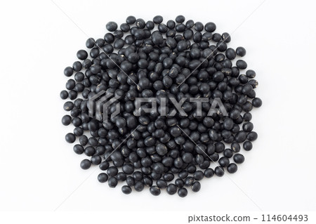 Black soybean 114604493