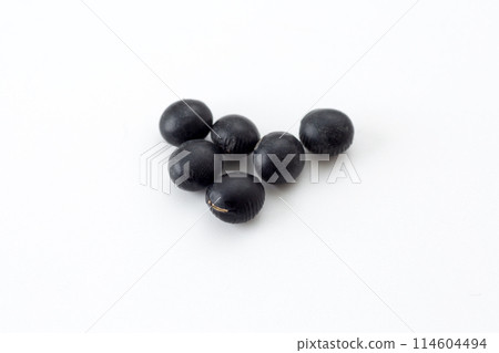 Black soybean Black soybean 114604494
