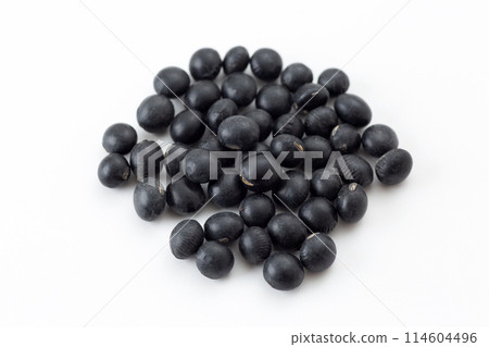 Black soybean 114604496