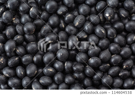 Black soybean 114604538