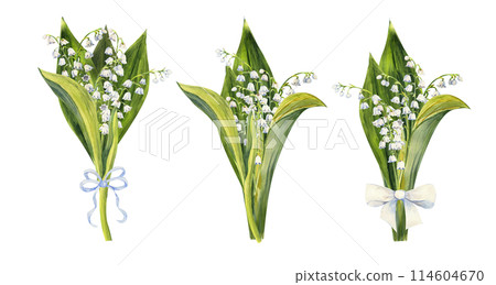 Set of bouquets of lily of the valley flowers, drawn by hand. Watercolor illustration of spring flowers Set of bouquets of lily of the valley flowers, drawn by hand. Watercolor illustration of spring flowers 114604670
