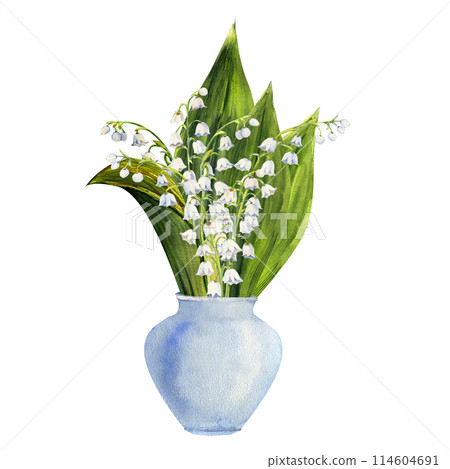 Hand drawn bouquet of lily of the valley flowers in a white vase. Watercolor illustration of spring flowers 114604691