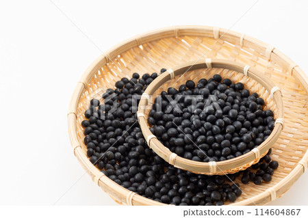 Black soybean 114604867